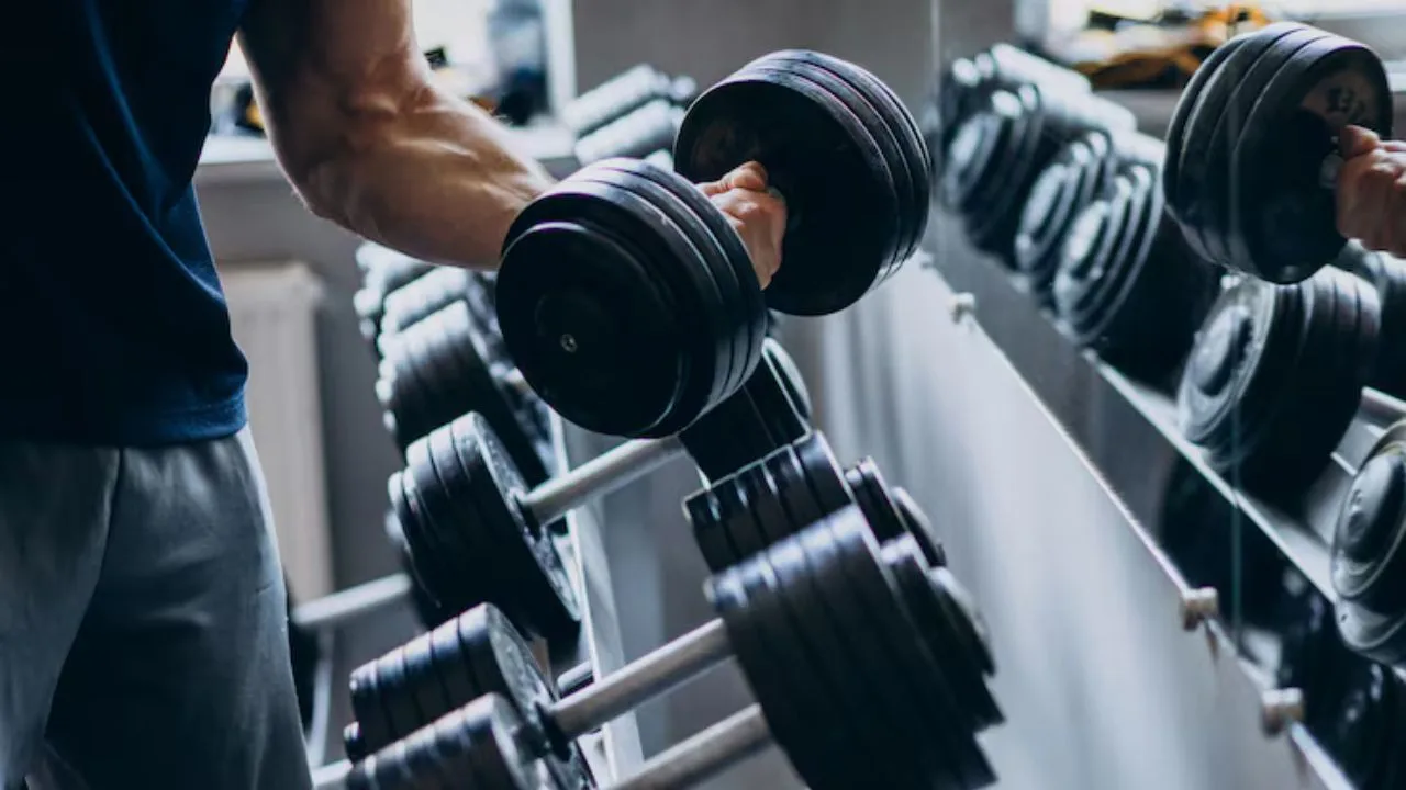 Advanced Modern Looking Gymnassium Business Portfolio Site