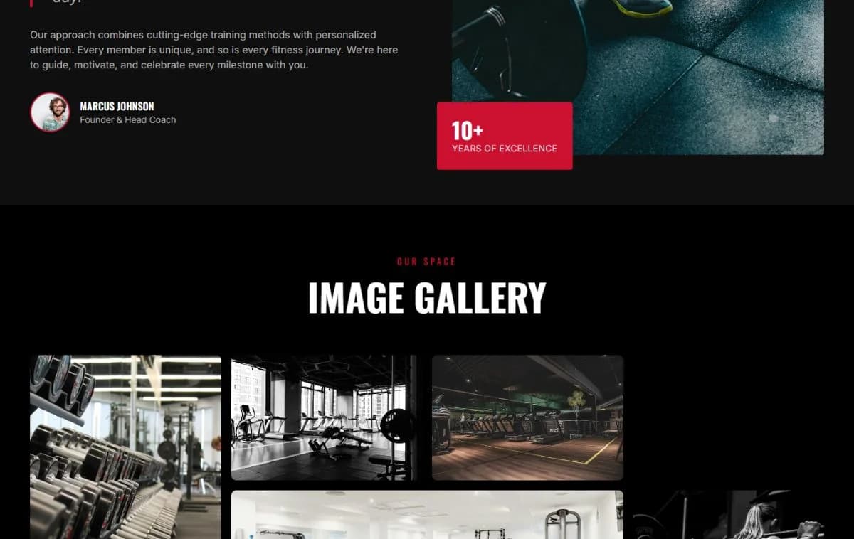 Advanced Modern Looking Gymnassium Business Portfolio Site