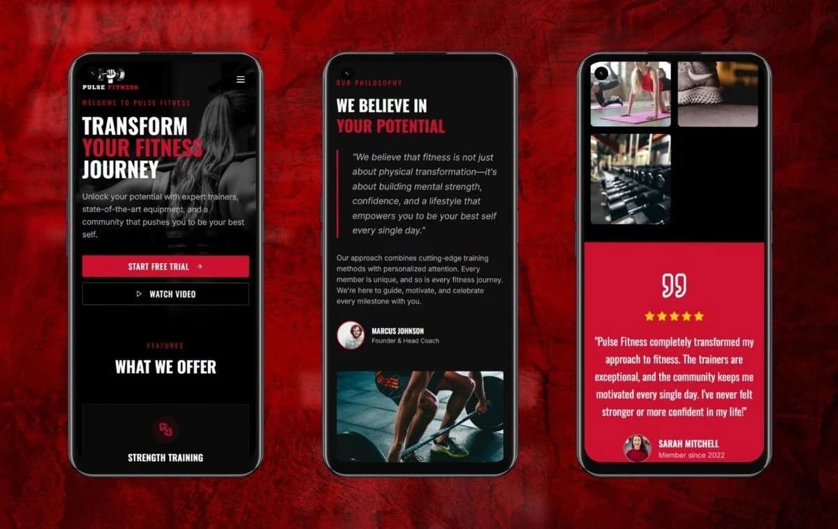 Advanced Modern Looking Gymnassium Business Portfolio Site